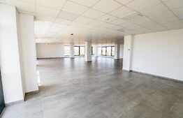 Hale si clădire birouri clasa A, 3425 mp, 7350 mp teren, zona Aeroport