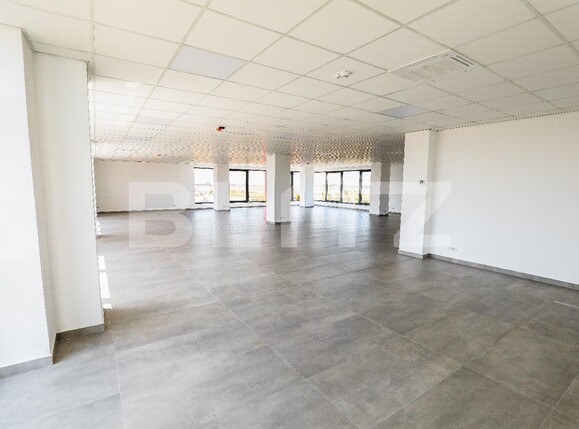 Spațiu industrial de închiriat Aeroport - 136092SII | BLITZ Craiova | Poza3