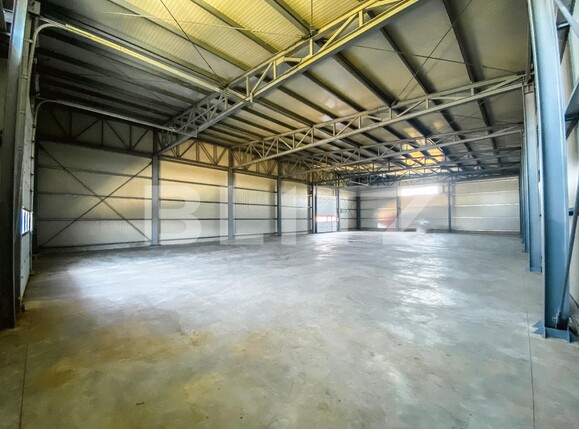 Spațiu industrial de închiriat Aeroport - 136092SII | BLITZ Craiova | Poza10