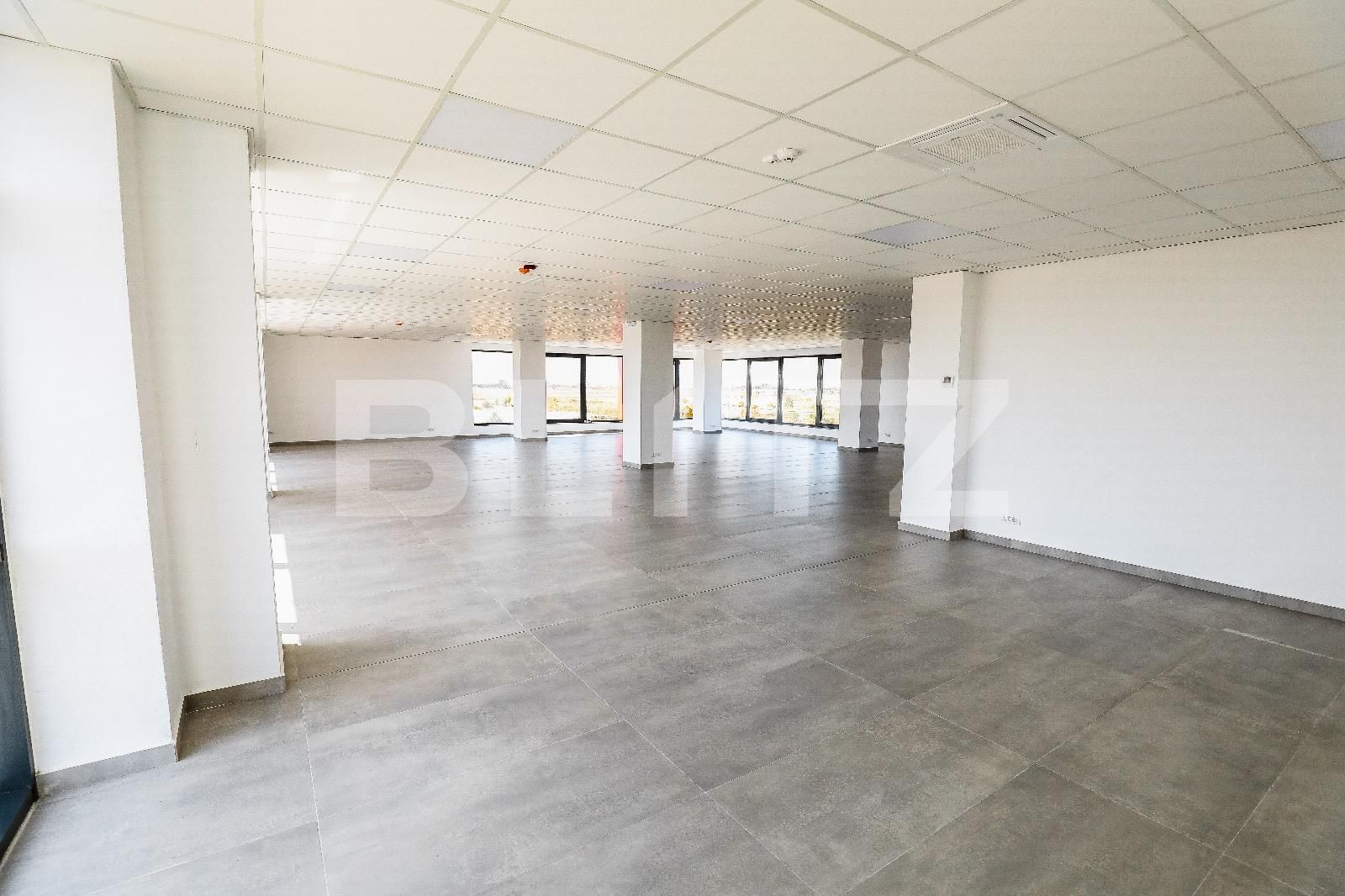 Spațiu industrial de închiriat Aeroport - 136092SII | BLITZ Craiova | Poza3