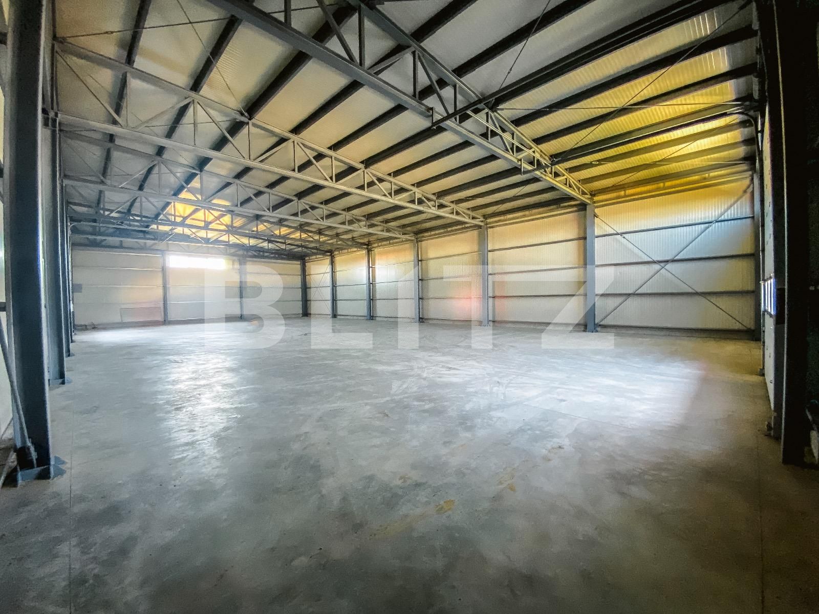 Spațiu industrial de închiriat Aeroport - 136092SII | BLITZ Craiova | Poza9