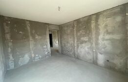 Casa plan parter, 330 mp teren, zona Bariera Vilcii