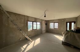 Casa plan parter, 330 mp teren, zona Bariera Vilcii