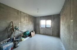 Casa plan parter, 330 mp teren, zona Bariera Vilcii