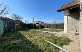 Casa plan parter, 330 mp teren, zona Bariera Vilcii