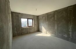 Casa plan parter, 330 mp teren, zona Bariera Vilcii