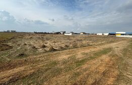 Teren intravilan, 4000 mp, zona Carcea/Metro