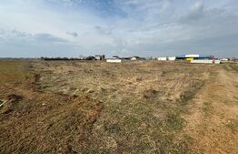 Teren intravilan, 4000 mp, zona Carcea/Metro