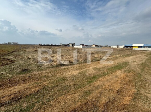 Teren de vânzare Carcea  - 136182TV | BLITZ Craiova | Poza2
