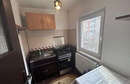 Garsoniera 32 mp, cartier Rovine