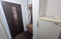 Garsoniera 32 mp, cartier Rovine