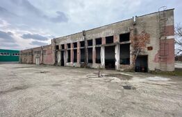 Hala industrială, 1250 mp, acces E79, zona Isalnita