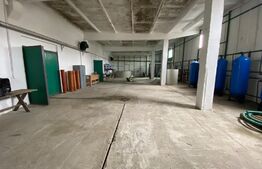 Hala industrială, 2000 mp, încălzire, acces E79, zona Isalnita