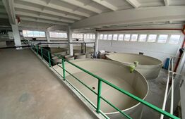 Hala industrială, 2000 mp, încălzire, acces E79, zona Isalnita