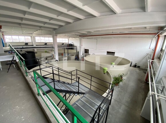 Spațiu industrial de închiriat Exterior Vest - 136297SII | BLITZ Craiova | Poza2