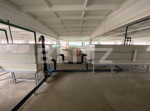 Spațiu industrial de închiriat Exterior Vest - 136297SII | BLITZ Craiova | Poza4