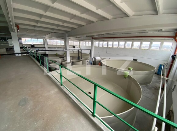 Spațiu industrial de închiriat Exterior Vest - 136297SII | BLITZ Craiova | Poza5