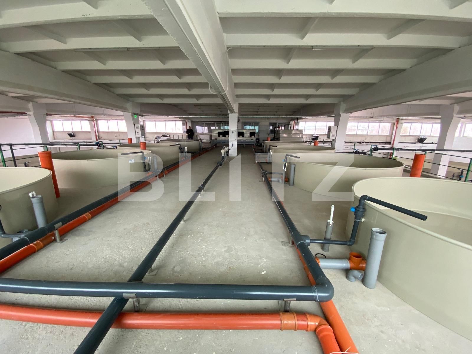 Spațiu industrial de închiriat Exterior Vest - 136297SII | BLITZ Craiova | Poza6