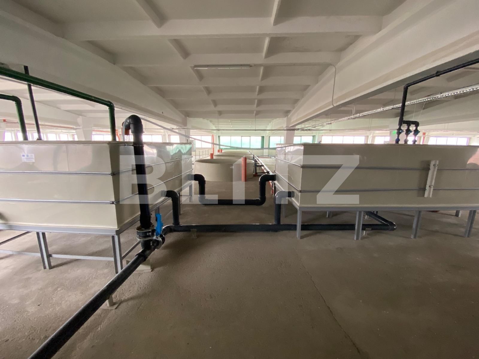 Spațiu industrial de închiriat Exterior Vest - 136297SII | BLITZ Craiova | Poza4