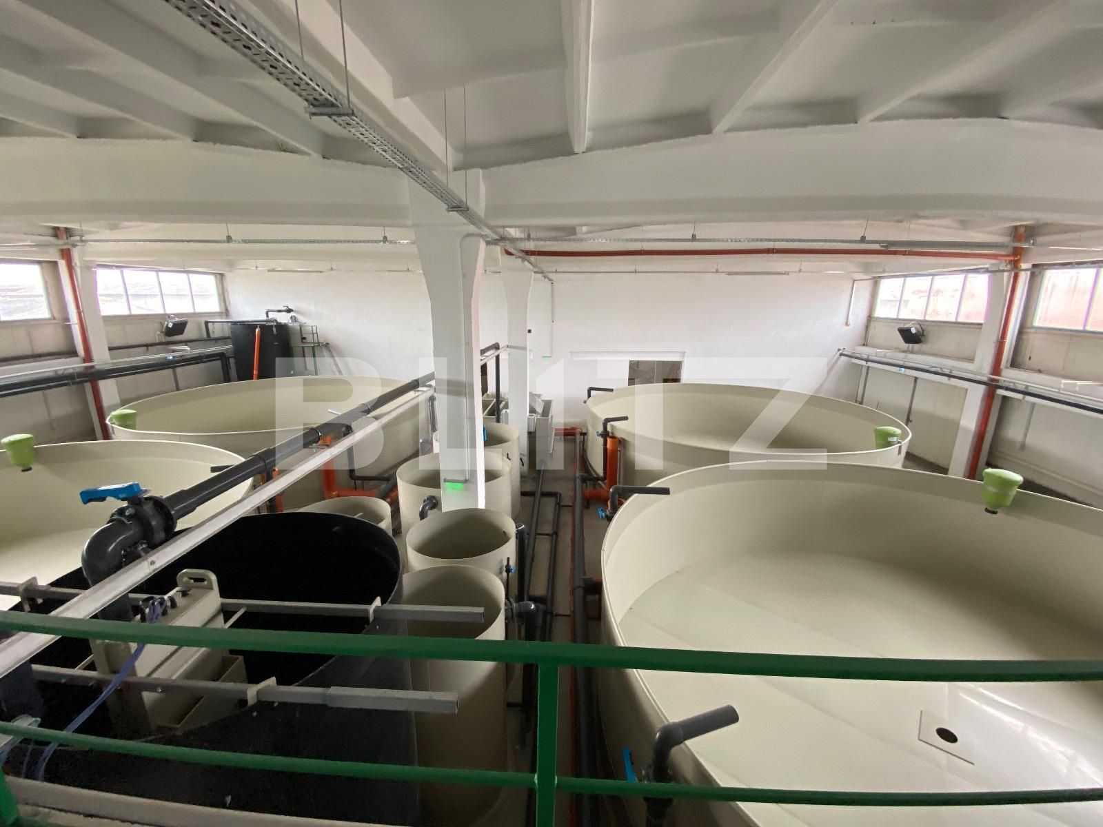 Spațiu industrial de închiriat Exterior Vest - 136297SII | BLITZ Craiova | Poza3