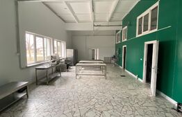 Cladire cu destinație mixta, 570 mp, acces E79, zona Isalnita