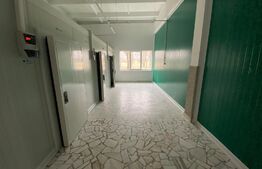 Cladire cu destinație mixta, 570 mp, acces E79, zona Isalnita