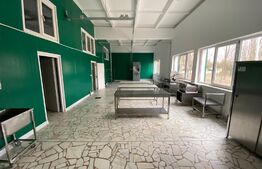 Cladire cu destinație mixta, 570 mp, acces E79, zona Isalnita