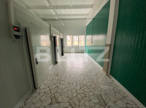 Spațiu industrial de închiriat Exterior Vest - 136303SII | BLITZ Craiova | Poza4