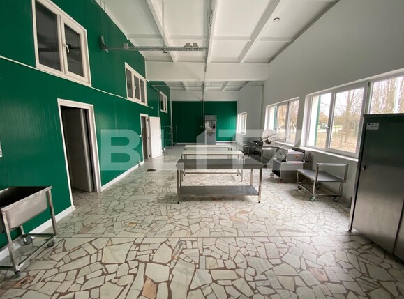 Spațiu industrial de închiriat Exterior Vest - 136303SII | BLITZ Craiova | Poza3