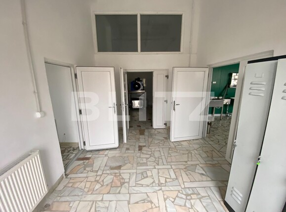 Spațiu industrial de închiriat Exterior Vest - 136303SII | BLITZ Craiova | Poza6