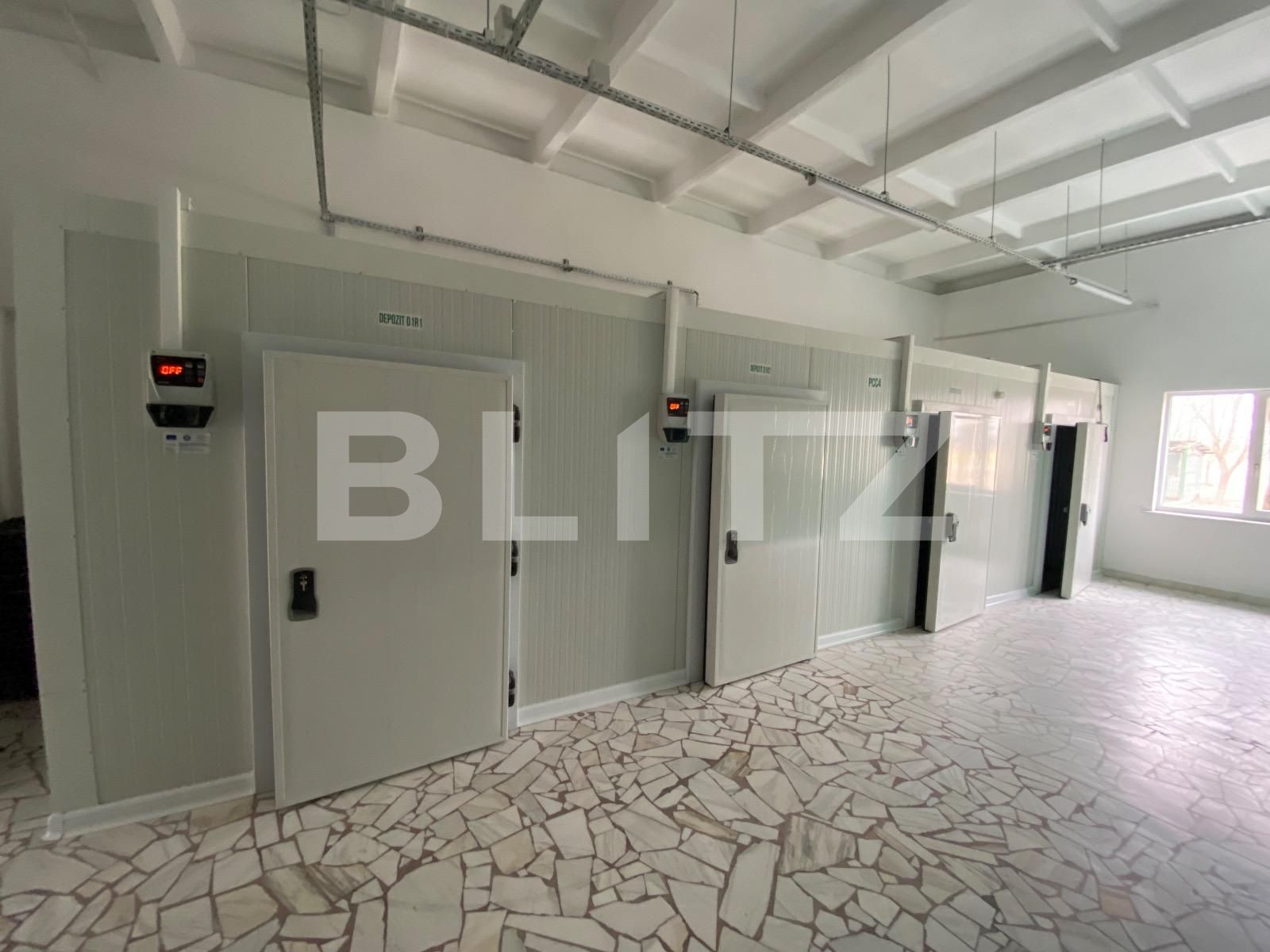 Spațiu industrial de închiriat Exterior Vest - 136303SII | BLITZ Craiova | Poza5