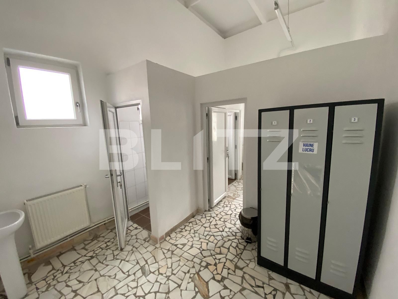 Spațiu industrial de închiriat Exterior Vest - 136303SII | BLITZ Craiova | Poza7