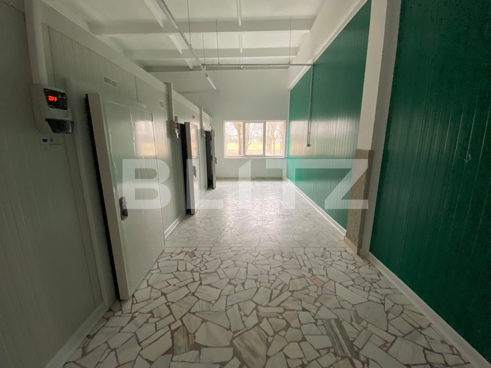 Spațiu industrial de închiriat Exterior Vest - 136303SII | BLITZ Craiova | Poza4