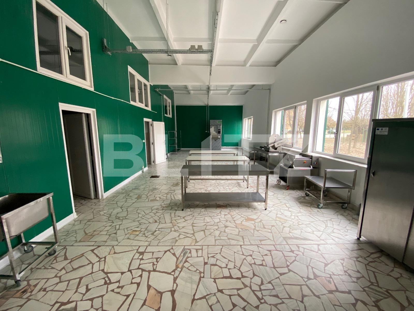 Spațiu industrial de închiriat Exterior Vest - 136303SII | BLITZ Craiova | Poza3