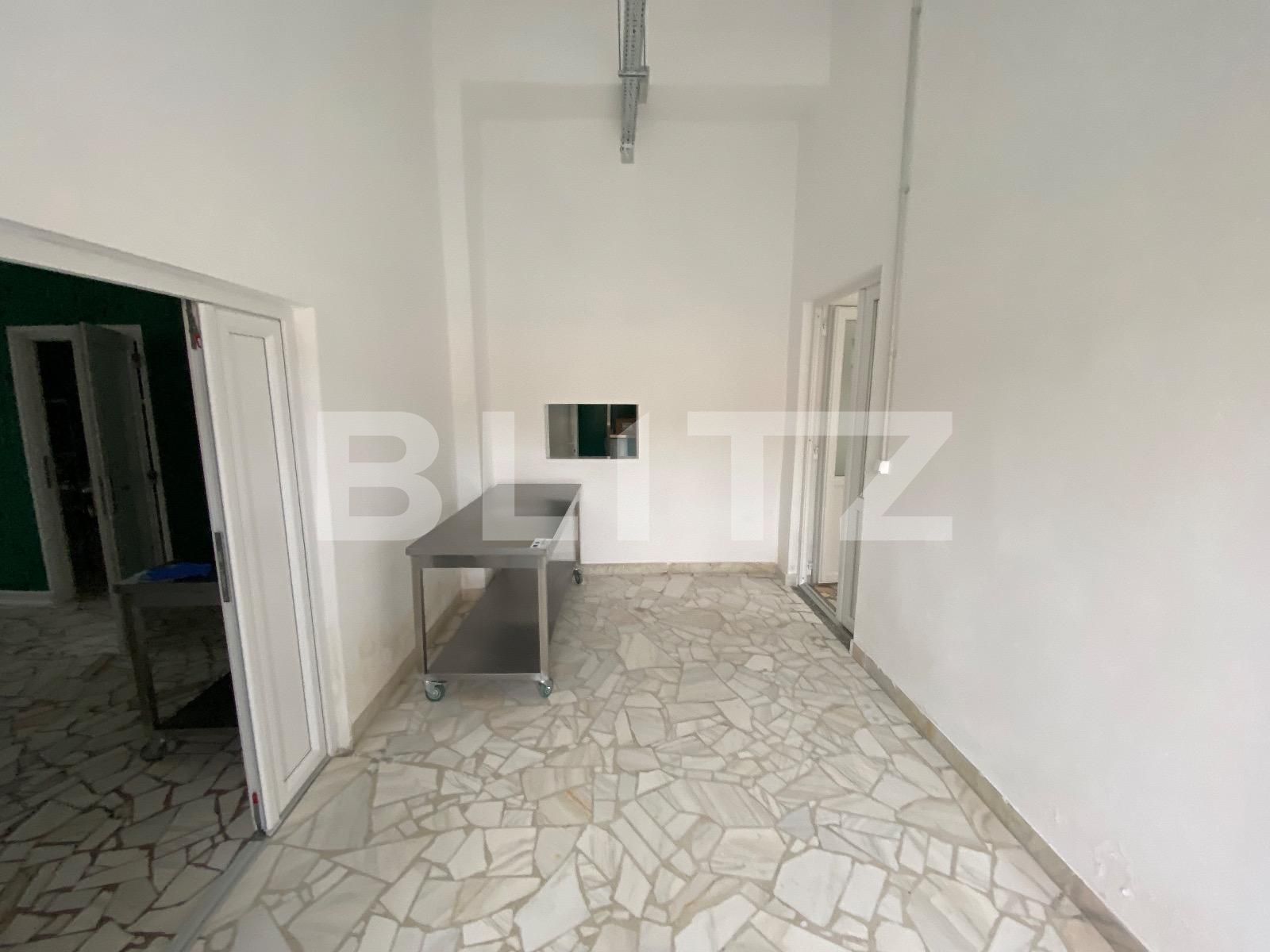 Spațiu industrial de închiriat Exterior Vest - 136303SII | BLITZ Craiova | Poza8