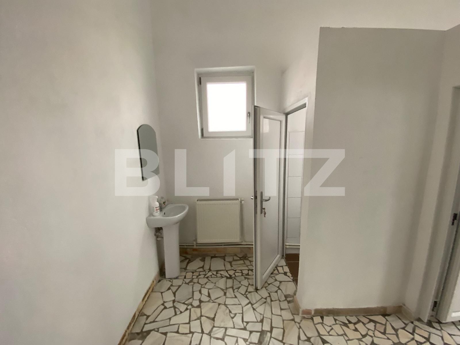 Spațiu industrial de închiriat Exterior Vest - 136303SII | BLITZ Craiova | Poza10