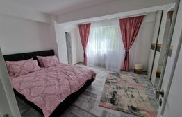 Apartament de vânzare 2 camere Brazda lui Novac, Craiova