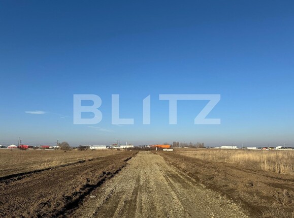 Teren de vânzare Pielești - 136424TV | BLITZ Craiova | Poza3
