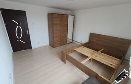 Casa P+M,  180 mp utili, Plaiul Vulcănești !