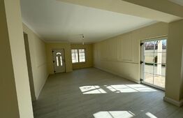 Casa P+1, 130 mp utili, 280 mp teren, zona Albesti