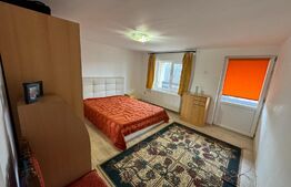 Casa P+1, 153 mp utili, 460 mp teren, zona Albesti