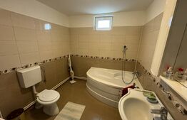 Casa P+1, 153 mp utili, 460 mp teren, zona Albesti