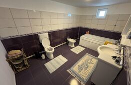 Casa P+1, 153 mp utili, 460 mp teren, zona Albesti