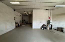 Hală tip atelier și locuință, P + M, 200 mp utili, zona canal - Brestei