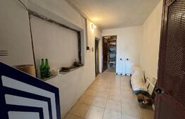 Hală tip atelier și locuință, P + M, 200 mp utili, zona canal - Brestei