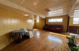 Hală tip atelier și locuință, P + M, 200 mp utili, zona canal - Brestei