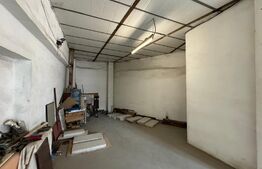 Hală tip atelier și locuință, P + M, 200 mp utili, zona canal - Brestei