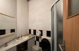 Hală tip atelier și locuință, P + M, 200 mp utili, zona canal - Brestei