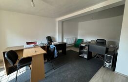 Hală tip atelier și locuință, P + M, 200 mp utili, zona canal - Brestei