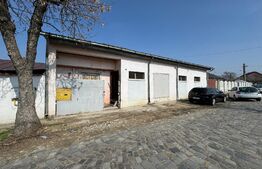 Hală tip atelier și locuință, P + M, 200 mp utili, zona canal - Brestei